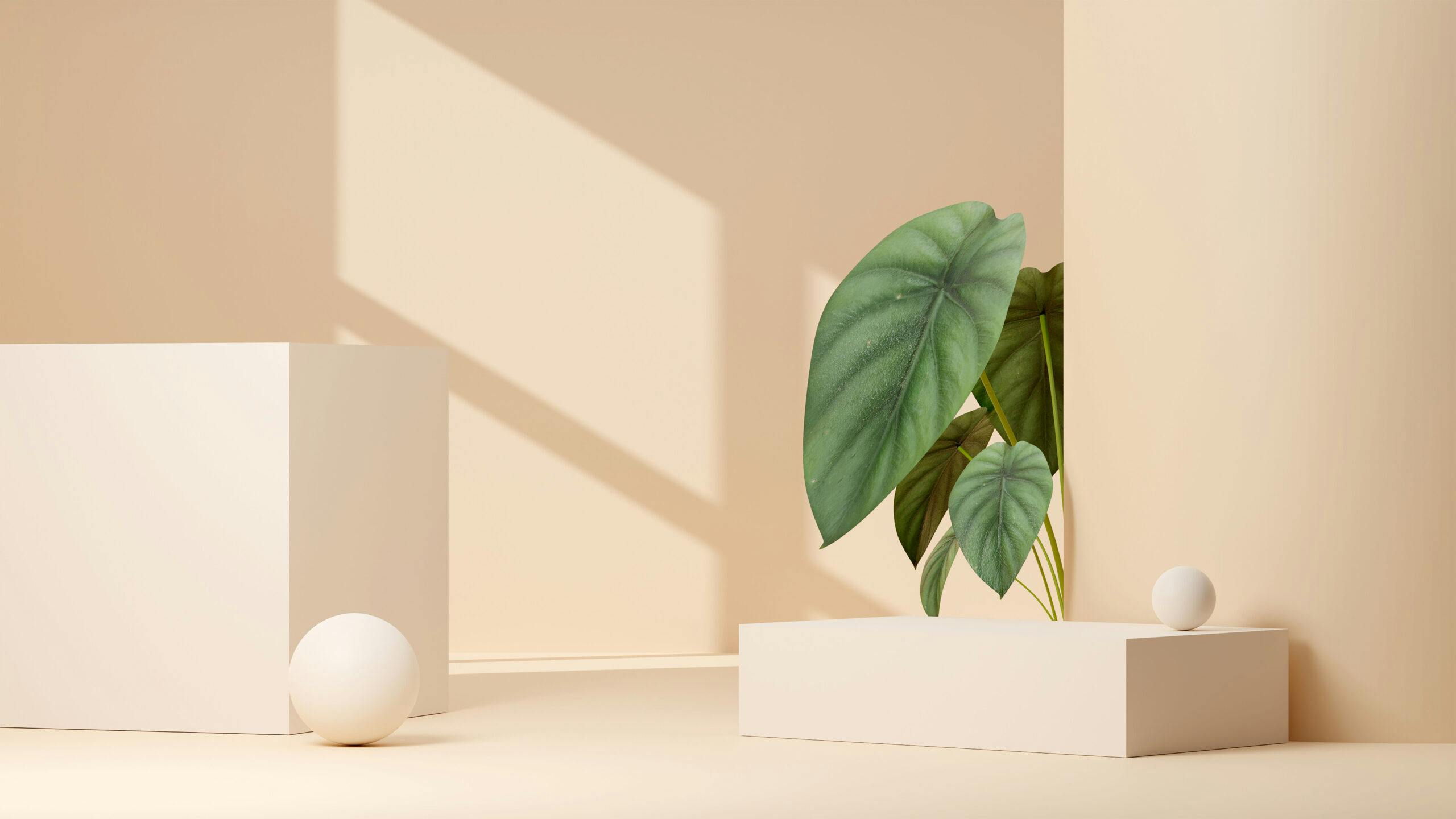 3d render of nature-themed product display podium in front of a plant with a beige background